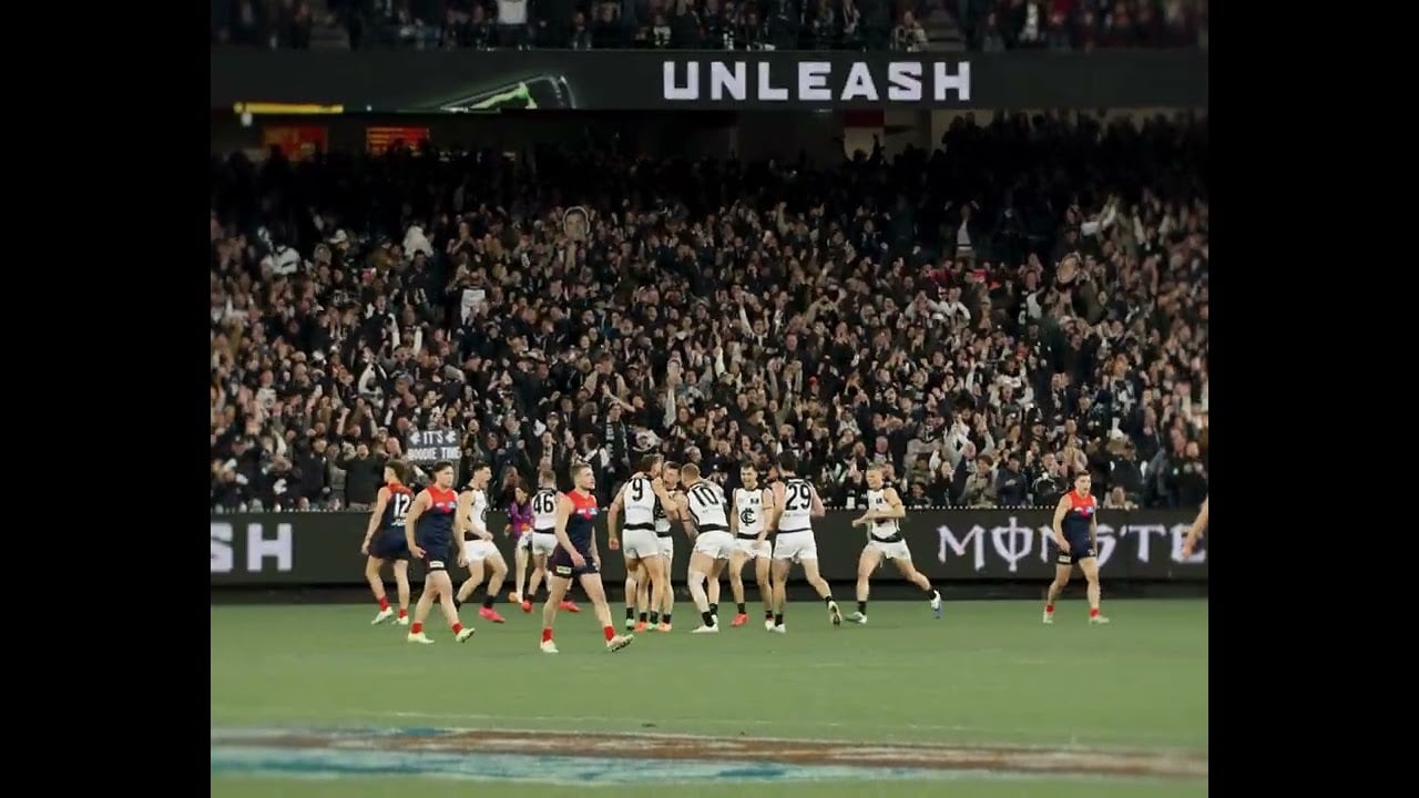 All the feels for Blues fans 💙 #afl #carlton