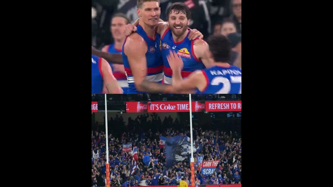 These fan reactions GO OFF #afl #aflfinals