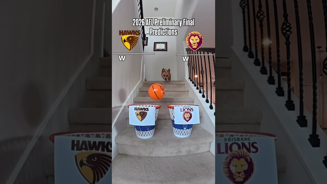 We HAD to get Air Corg's #AFLFinals predictions 👀 #afl #aircorg